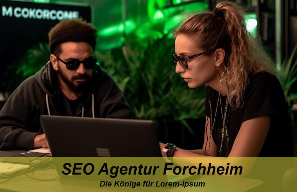 SEO Forchheim: Agentur für Suchmaschinenoptimierung aus der Region